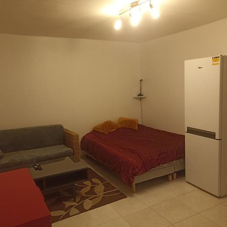 Studio Fonctionnel-Terrasse Partagee, Jardin-Le Pratique Apartment Metz Ngoại thất bức ảnh